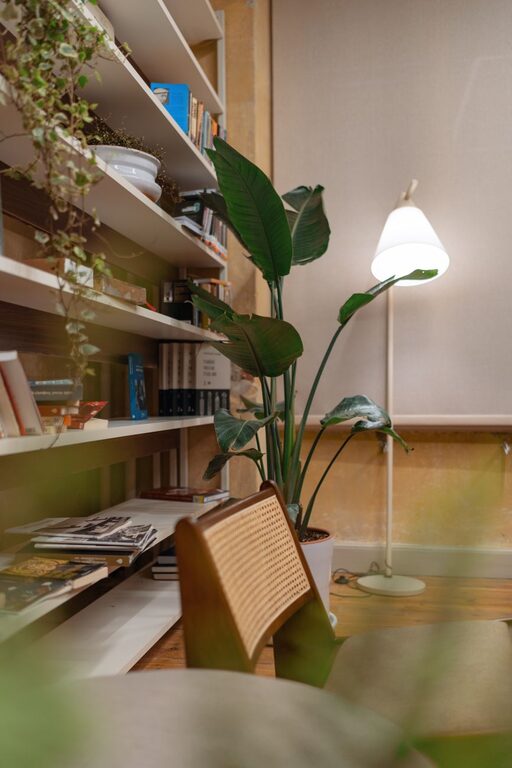 Tips for Organizing a Cozy Reading Nook at Home